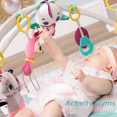 Supplier of Activity Gyms | Baby Products Wholesaler