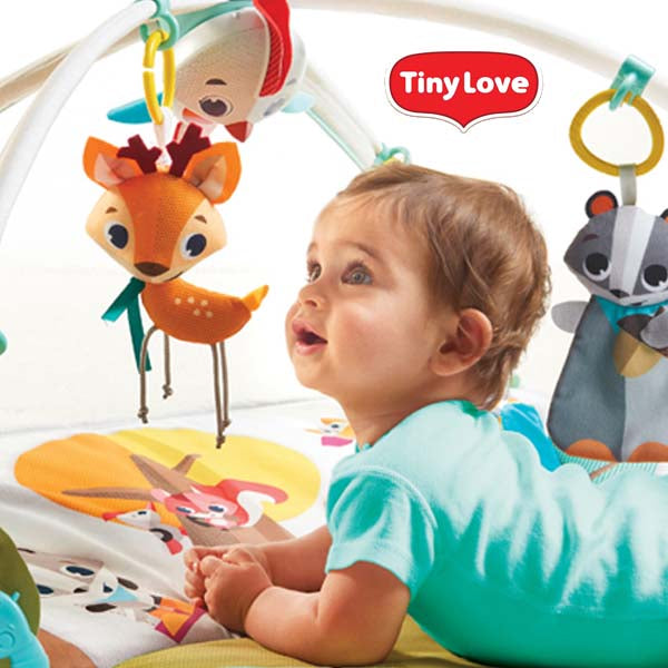 Supplier of Tiny Love | Baby Products Wholesaler