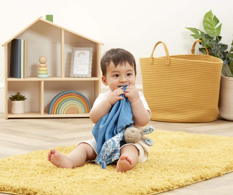 Peter Rabbit Muslin Comforter | Major Brand Distributor