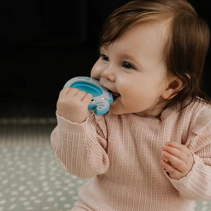 Nuby Sensory Pop It Teethers 2Pk l Retail Supplier | Baby Products Wholesaler