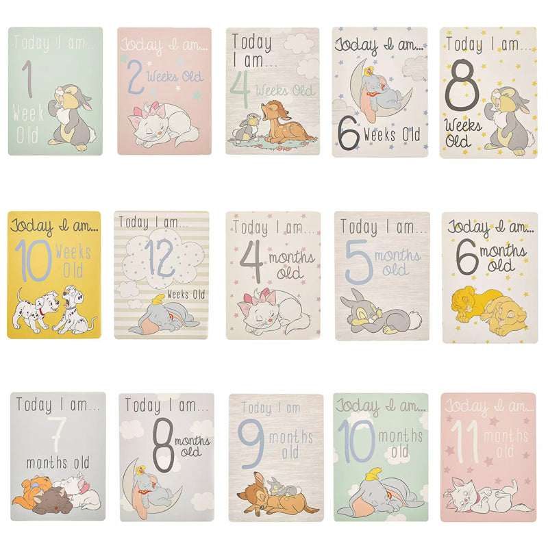 Disney Magical Beginnings Baby 30 Milestone Cards l Bulk Buy at Baby Products Wholesaler