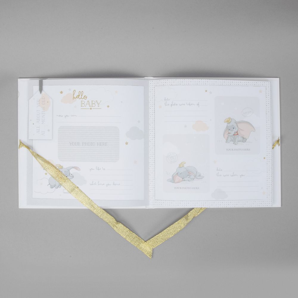 Disney Magical Beginnings My First Year Photo Record Book l Bulk Buy at Baby Products Wholesaler
