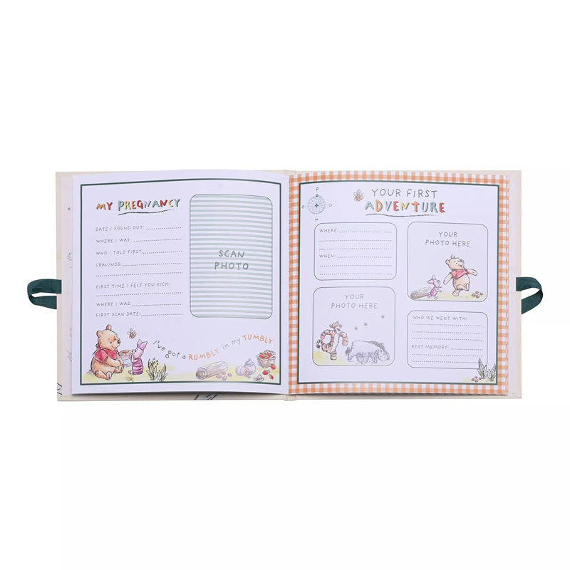 Disney Winnie The Pooh First Year Record Book l Bulk Buy at Baby Products Wholesaler