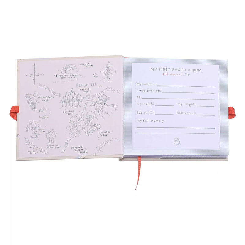 Disney Winnie The Pooh Photo Album l Bulk Buy at Baby Products Wholesaler