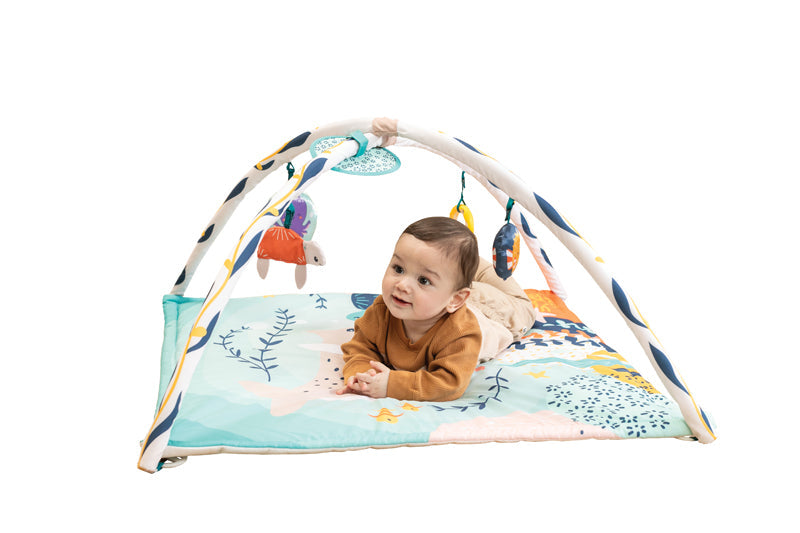 Infantino 3-in-1 Underwater Ocean Gym l Bulk Buy at Baby Products Wholesaler
