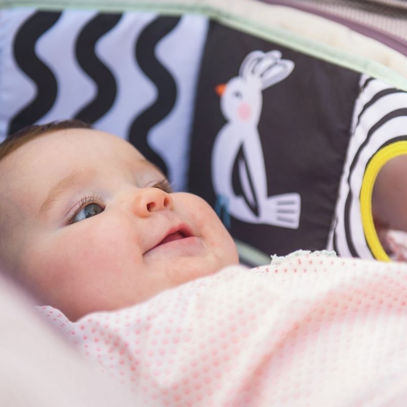 Taf Toys Koala Clip On Pram Book l Bulk Buy at Baby Products Wholesaler