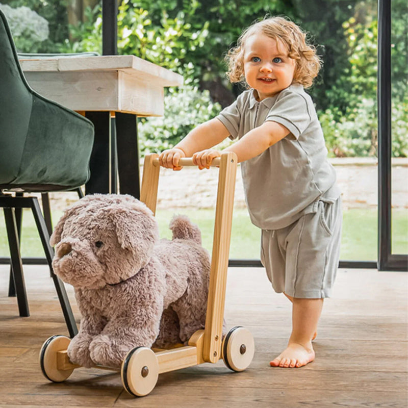 Little Bird Told Me Push Along Bailey Dog at Baby Products Wholesaler